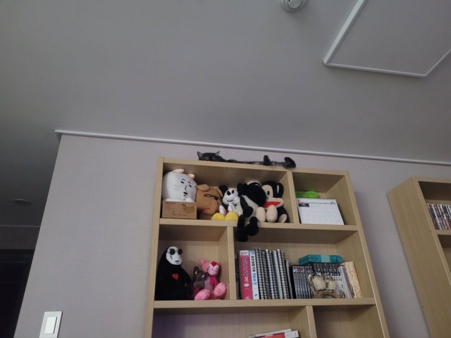 츮 