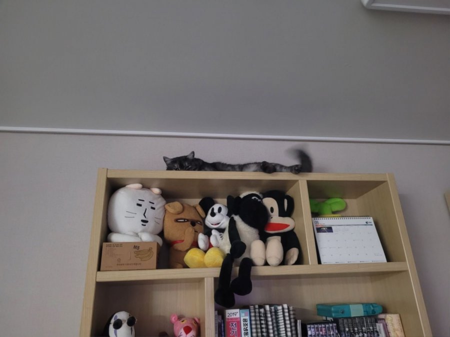 츮 