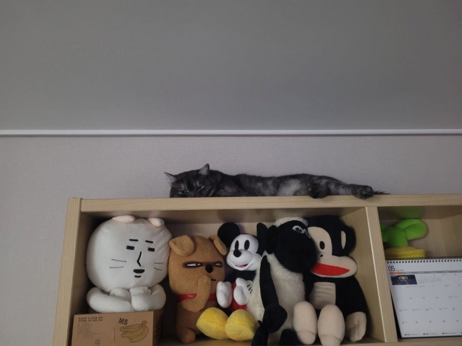 츮 