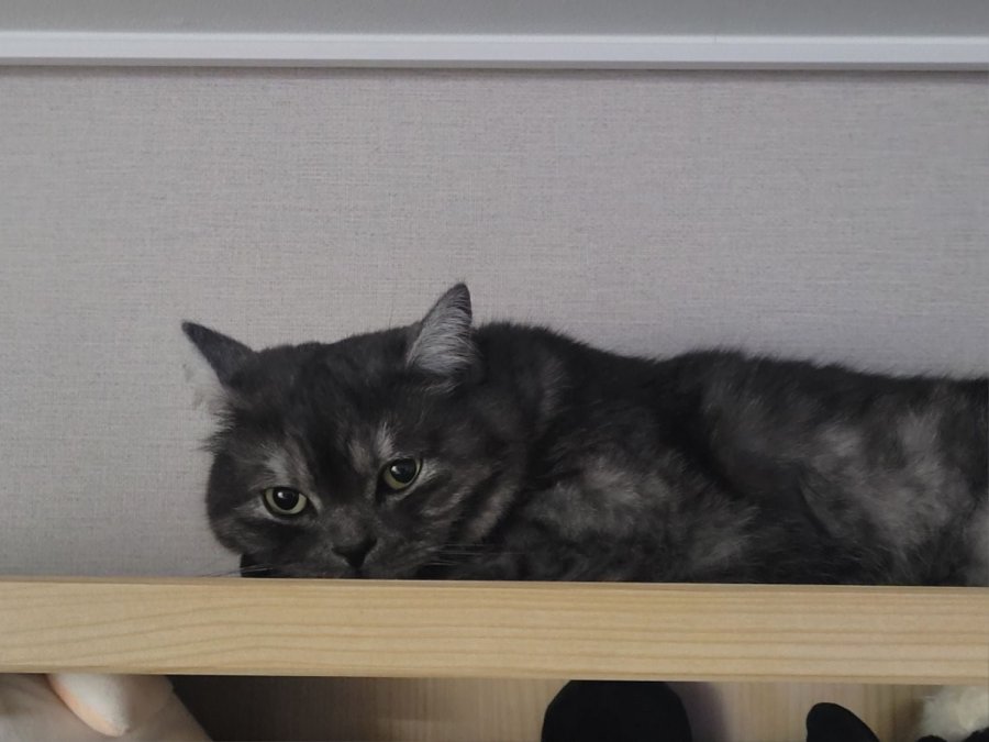 츮 