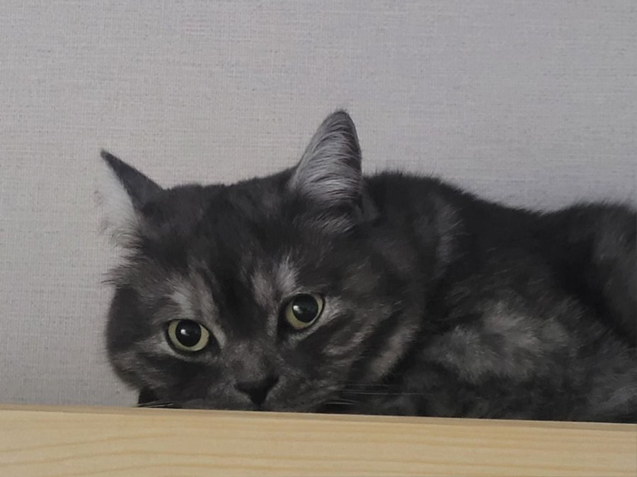 츮 