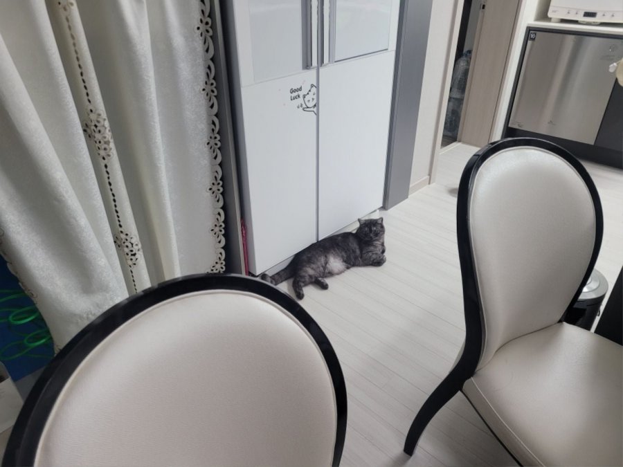 츮 