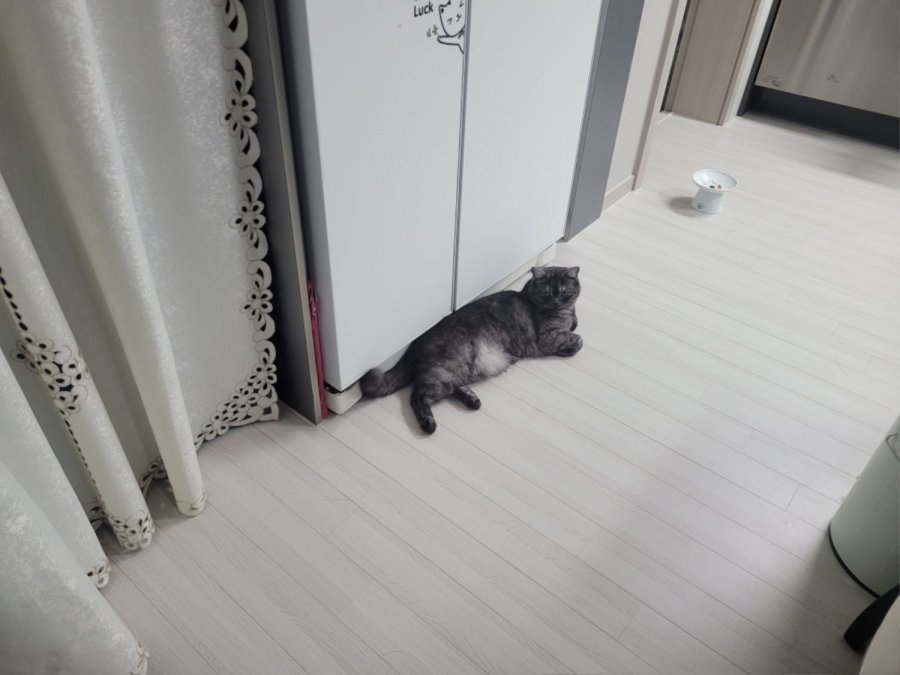 츮 