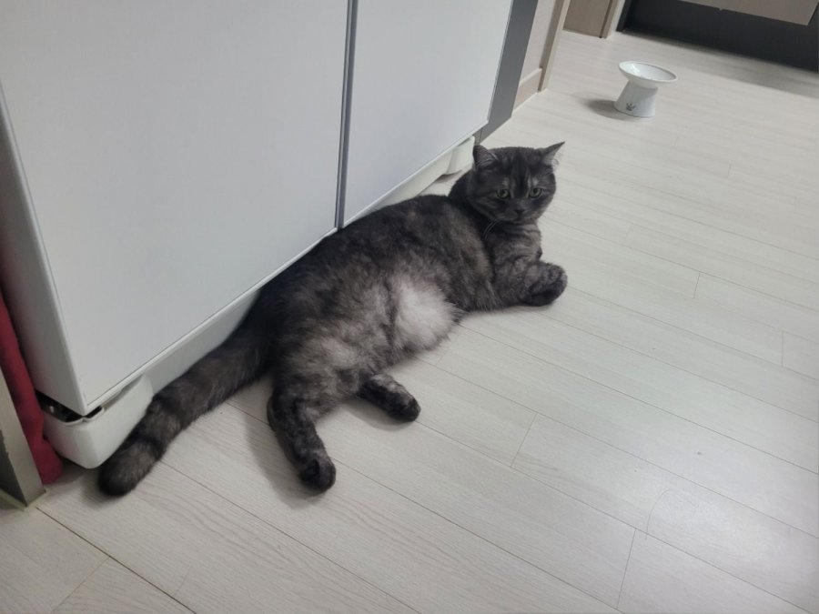 츮 