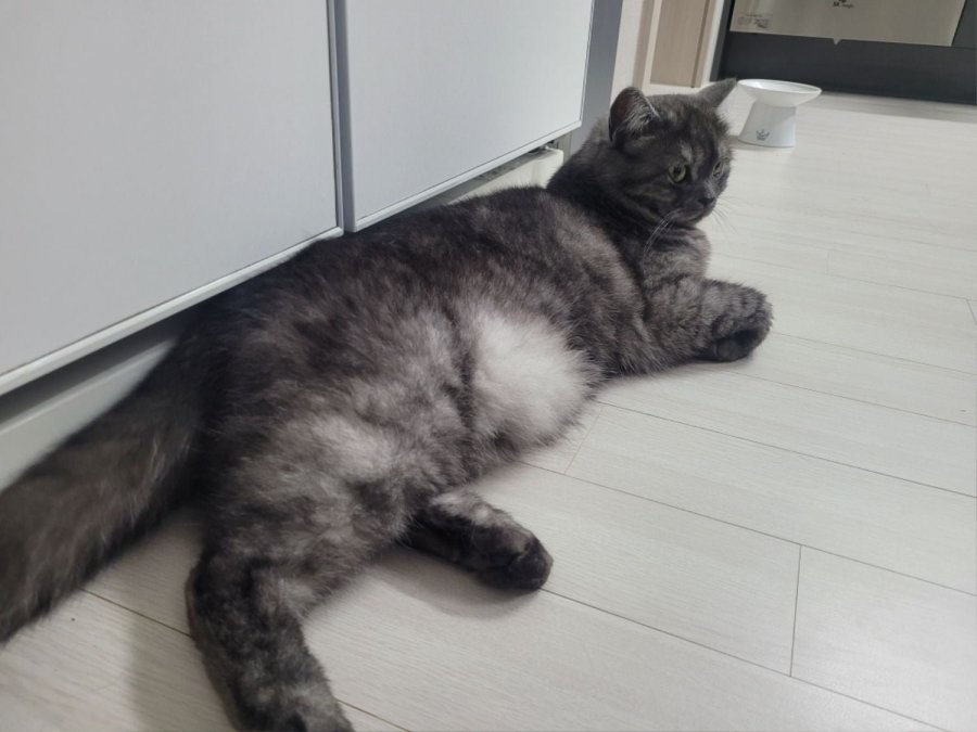 츮 