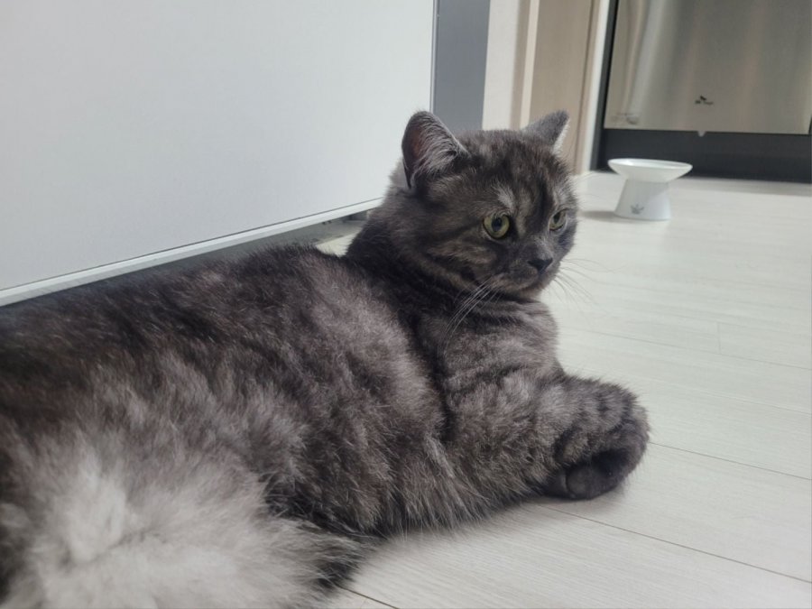 츮 