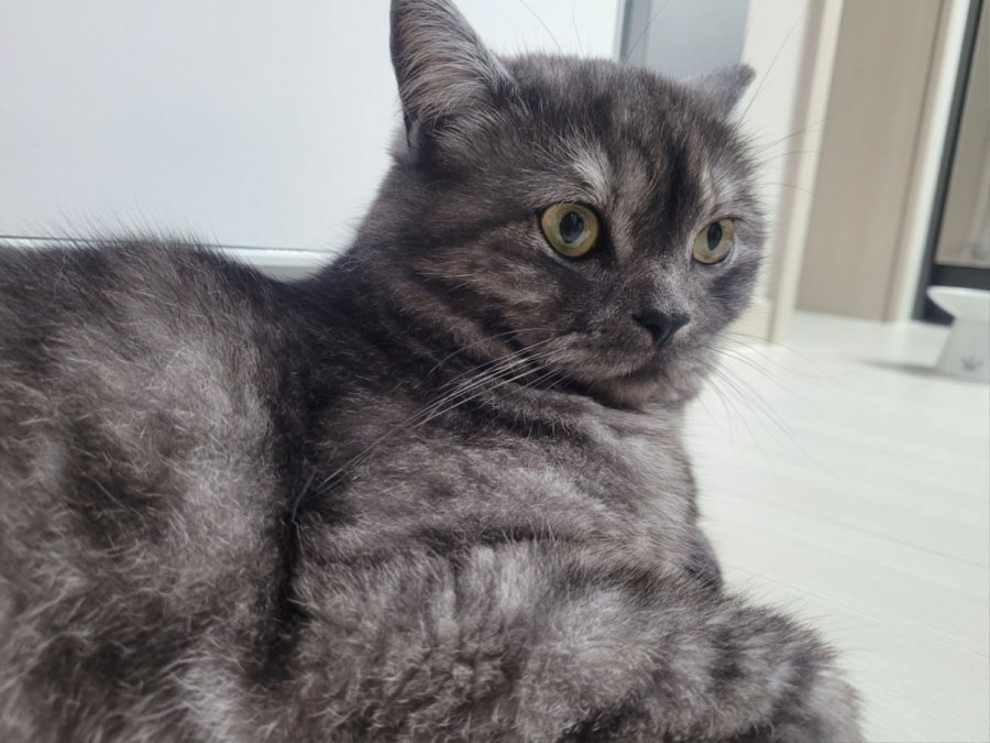 츮 