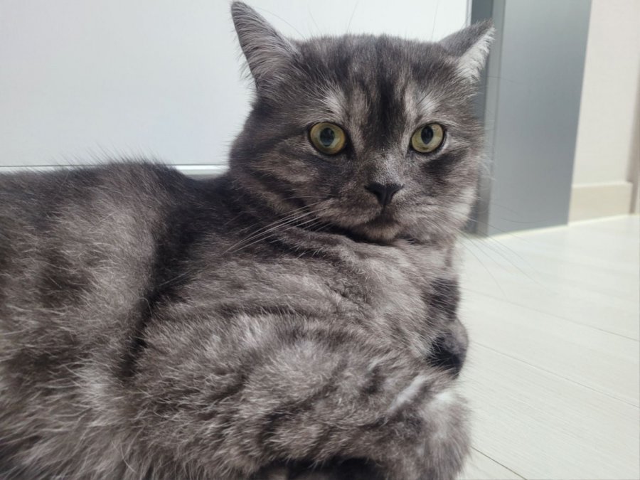츮 