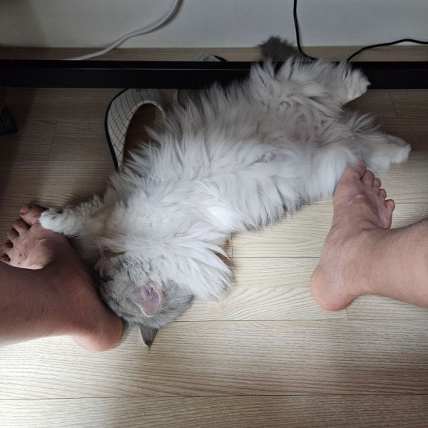 만사 편안함