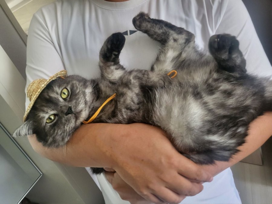 츮 