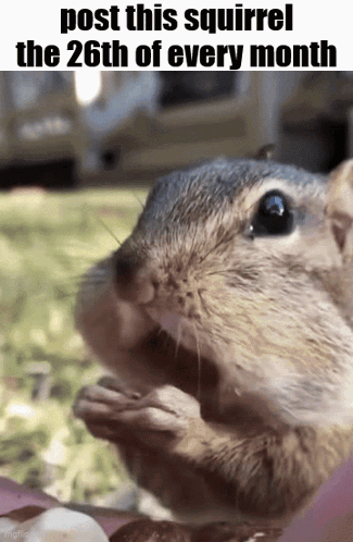 20250703214416_TuyfaSmSuR.gif
