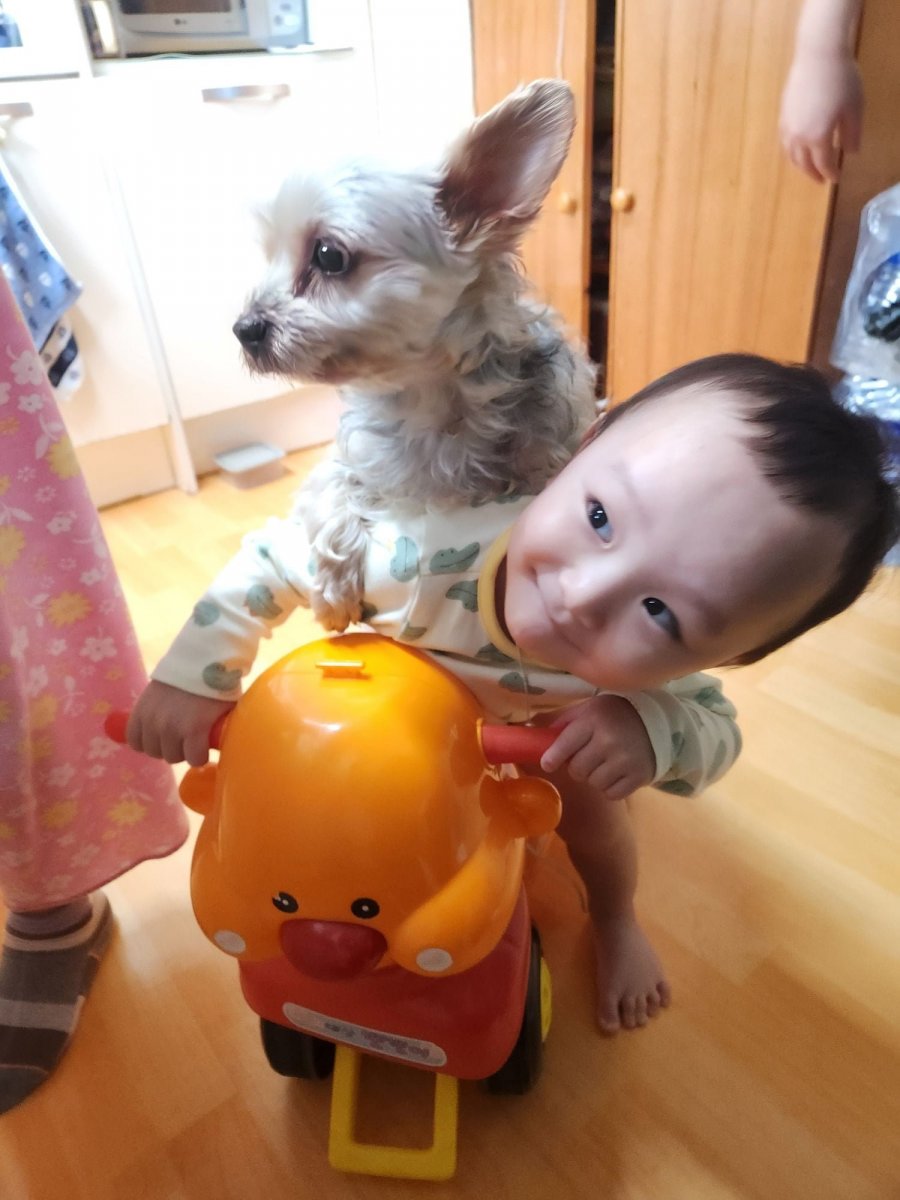 츮 