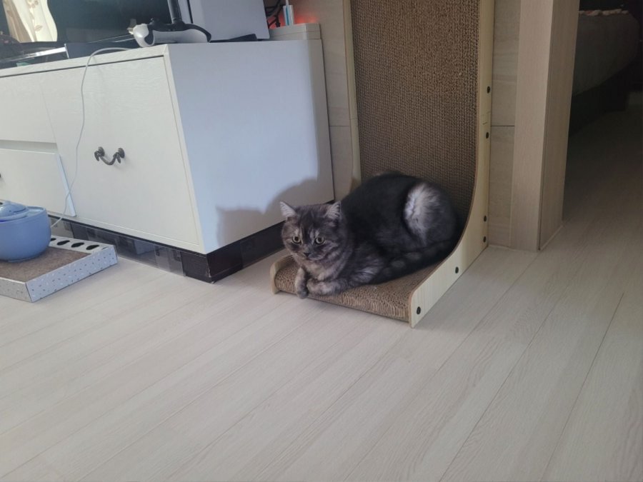 츮 