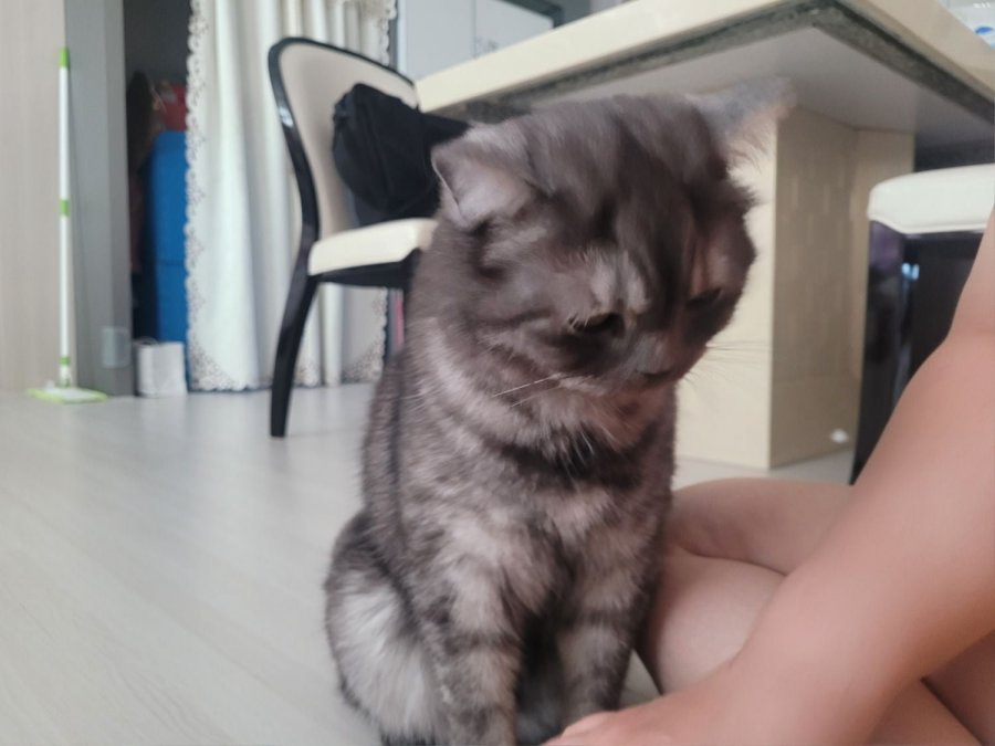 츮 
