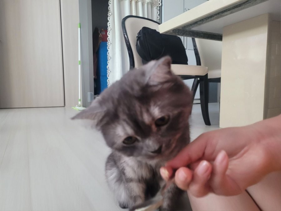 츮 