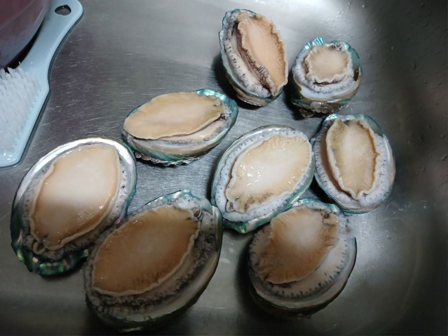 ȸ 