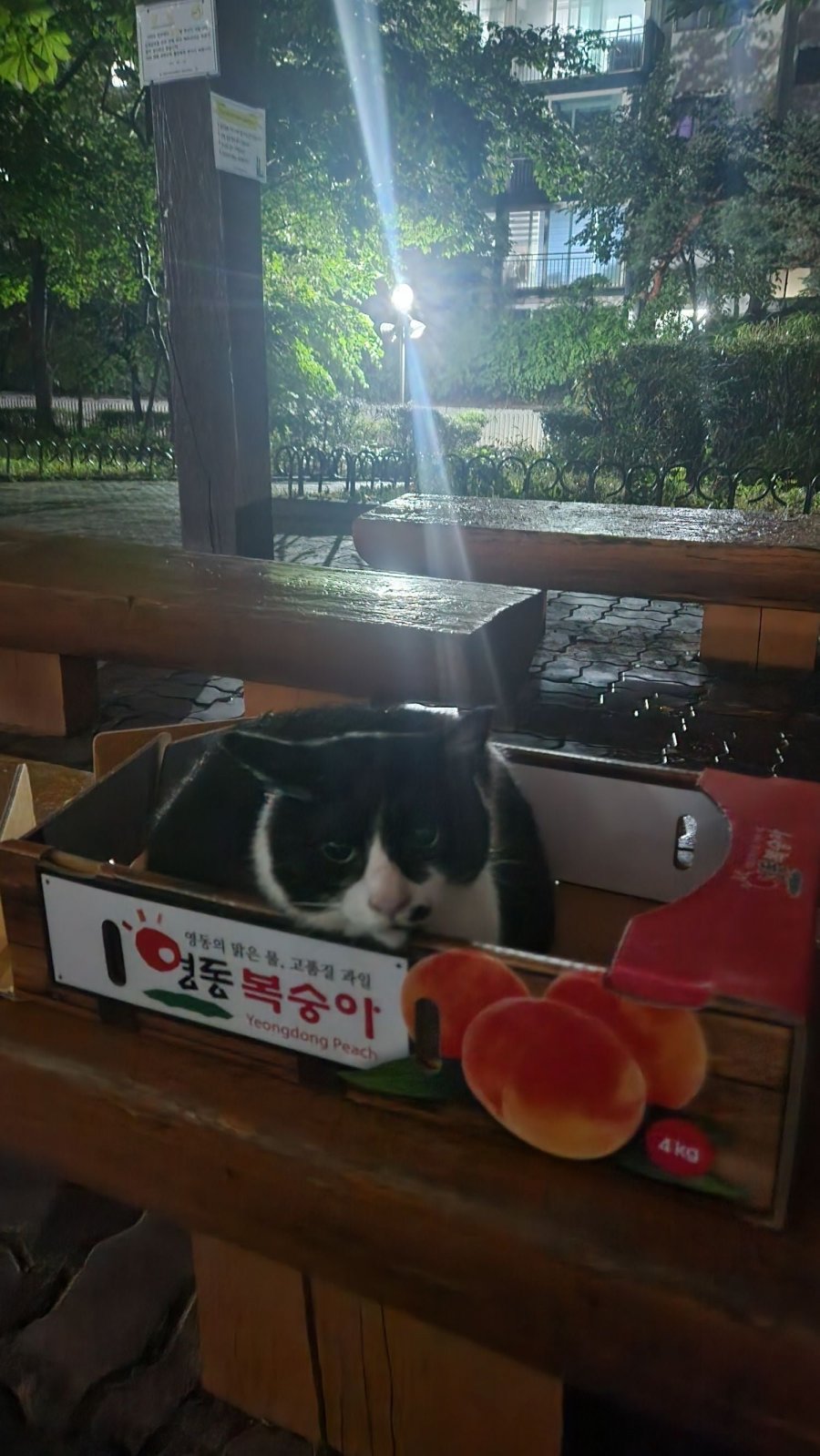  缼~