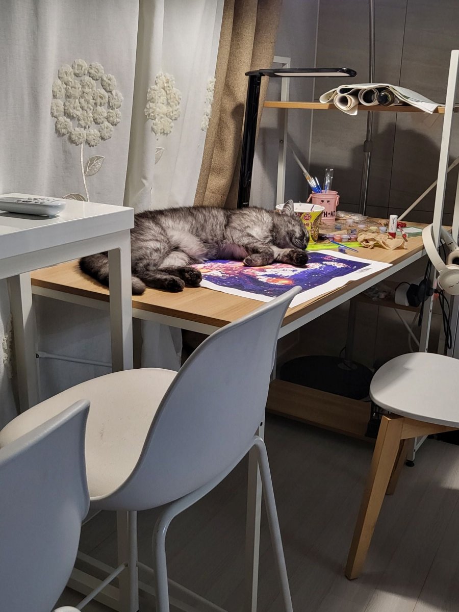 츮 