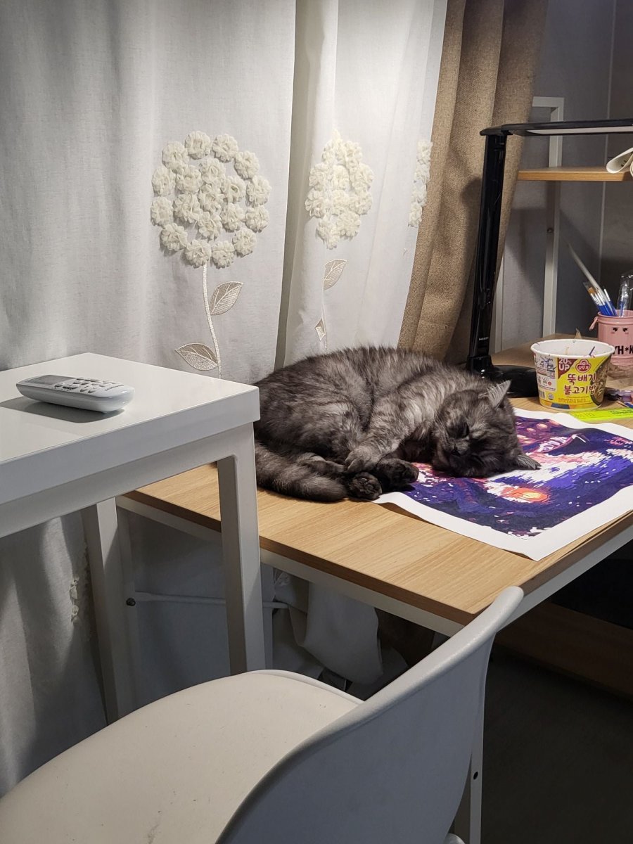 츮 