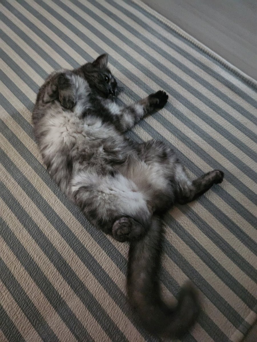 츮 