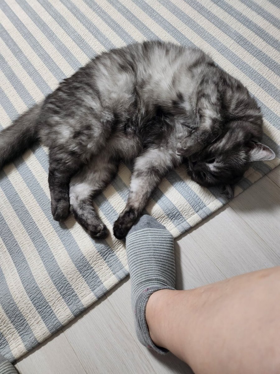 츮 