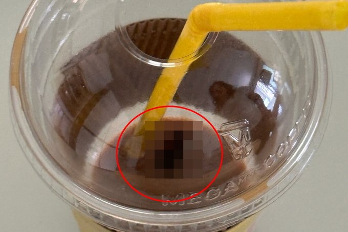 “뉴스에서만 보던 일이 실제로, 당황스러워” 메가커피 음료서 바퀴벌레 나와 - 뽐뿌:뉴스게시판 “뉴스에서만 보던 일이 실제로, 당황스러워”... 