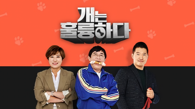 KBS2 α׷ ' Ǹϴ' ݷ Ʒû ( ) з   ٽ Ѵ. /KBS