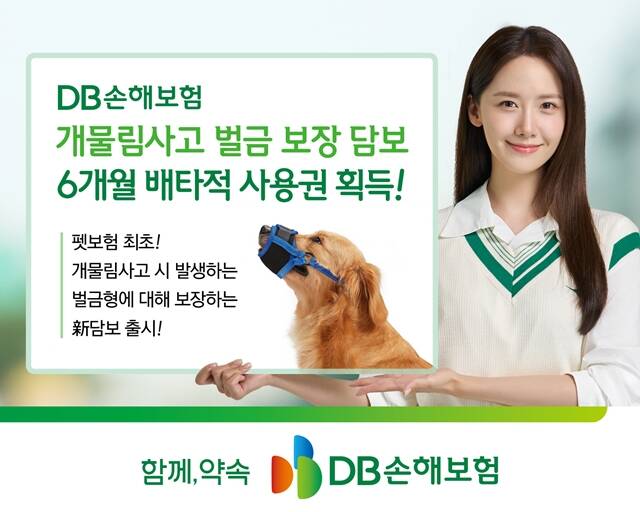 DBغ '  ' 㺸 غȸ Żǰȸκ 6 Ÿ  ȹߴ. /DBغ