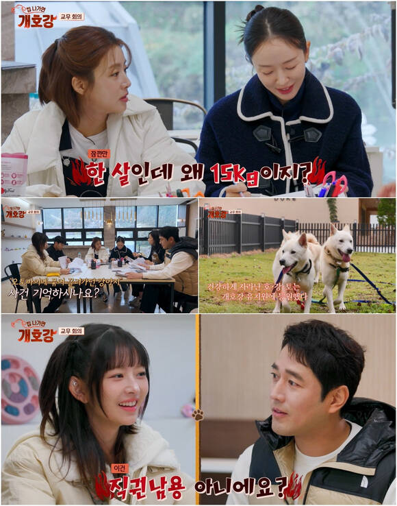 'ȣ' 5ȸ ̰  ڸ    ӽ     ׷. /JTBC