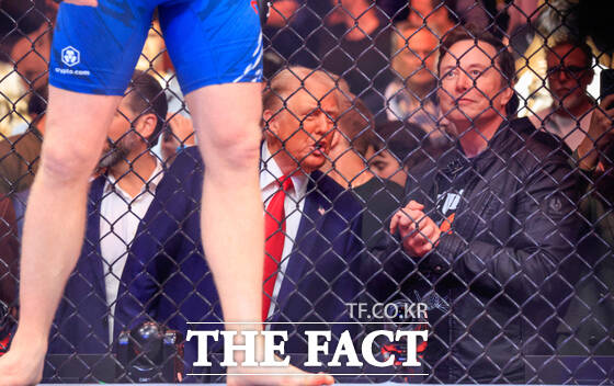 UFC   ε Ʈ ̱  3(ð) ̱  250ֳ  ⿡ ǰ 'UFC ȸ' ڴٰ . /Ʈ DB